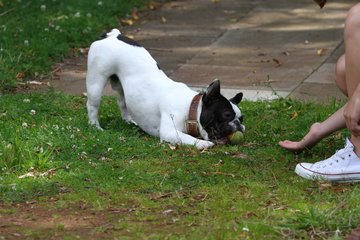Bild 276 - 2012